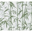 P492450020 A.S. Création historizujúca vliesová tapeta na stenu Styleguide Natürlich 2024 bambus, veľkosť 10,05 m x 53 cm