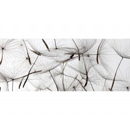 MP-2-0122 Vliesová obrazová panoramatická fototapeta Dandelion Seeds + lepidlo Bezplatne, veľkosť 375 x 150 cm