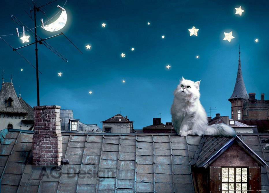 fototapeta kočka na střeše