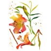 57718 Watercolour Flowers - Ľalia, samolepiace dekorácie Crearreda, veľkosť 70x100cm