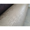 Hohenberger 64626HTM luxusní vliesová tapeta na zeď, rozměry 10.05 x 0.53 m