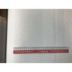 142402 RASCH pretierateľná vliesová tapeta na stenu Wallton 2020, veľkosť 53 cm x 10,05 m
