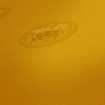 348624 vliesová tapeta značky Versace wallpaper, rozměry 10.05 x 0.70 m