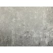 2307-20 A.S. Création vliesová tapeta na stenu Dimex výber 2021, veľkosť 10,05 m x 53 cm