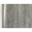 231619 Vliesová umývateľná tapeta na stenu s vinylovým povrchom z kolekcie Vavex Premium Selection 2024, veľkosť 53 cm x 10,05 m