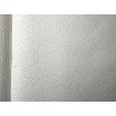 2728-12 A.S. Création vinylová tapeta na stenu Dimex výber 2021, veľkosť 10,05 m x 53 cm