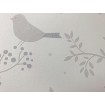 36756-1 Detská vinylová tapeta na stenu Dimex výber 2020 - vtáky, veľkosť 10,05 m x 53 cm