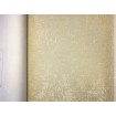 KT7-05073 Luxusná umývateľná vliesová tapeta na stenu Versace 4 (2022), veľkosť 10,05 m x 70 cm