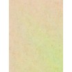 AS Creation 39036-3 vliesová tapeta z kolekcie Trend Spectrum, rozmery 10,05 x 0,53 m