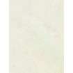 AS Creation 39036-5 vliesová tapeta z kolekcie Trend Spectrum, rozmery 10,05 x 0,53 m
