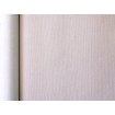 424065 Rasch umývateľná vliesová tapeta s vinylovým povrchom Aldora 2020, veľkosť 10,05 m x 53 cm