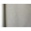 424072 Rasch umývateľná vliesová tapeta s vinylovým povrchom Aldora 2020, veľkosť 10,05 m x 53 cm
