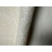 520231 Rasch vliesová umývateľná tapeta na stenu Concrete 2024, veľkosť 10,05 m x 53 cm
