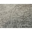 520248 Rasch vliesová umývateľná tapeta na stenu Concrete 2024, veľkosť 10,05 m x 53 cm