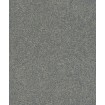 520262 Rasch vliesová umývateľná tapeta na stenu Concrete 2024, veľkosť 10,05 m x 53 cm