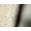 520835 Rasch vliesová umývateľná tapeta na stenu Concrete 2024, veľkosť 10,05 m x 53 cm