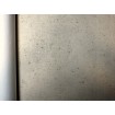 520842 Rasch vliesová umývateľná tapeta na stenu Concrete 2024, veľkosť 10,05 m x 53 cm