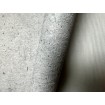 520859 Rasch vliesová umývateľná tapeta na stenu Concrete 2024, veľkosť 10,05 m x 53 cm