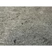 520873 Rasch vliesová umývateľná tapeta na stenu Concrete 2024, veľkosť 10,05 m x 53 cm