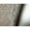520873 Rasch vliesová umývateľná tapeta na stenu Concrete 2024, veľkosť 10,05 m x 53 cm