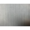 521481 Rasch vliesová umývateľná tapeta na stenu Concrete 2024, veľkosť 10,05 m x 53 cm