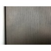 521498 Rasch vliesová umývateľná tapeta na stenu Concrete 2024, veľkosť 10,05 m x 53 cm