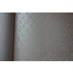 56125 Luxusné vliesová lesklá tapeta na stenu Padua, veľkosť 10,05 mx 53 cm