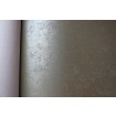 56128 Luxusné vliesová lesklá tapeta na stenu Padua, veľkosť 10,05 mx 53 cm