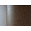 56137 Luxusné vliesová lesklá tapeta na stenu Padua, veľkosť 10,05 mx 53 cm