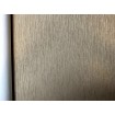 570076 Rasch zámocká vliesová umývateľná tapeta na stenu Trianon XIII (2024), veľkosť 10,05 m x 53 cm