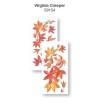 Samolepiaca dekorácia Crearreda WA S Virginia Crep. 59154 Jesenné psie vínne listy