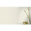 898231 Rasch luxusná trblietavá vliesová tapeta na stenu Sparkling 2020, veľkosť 10,05 m x 53 cm