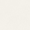 90351 sklovláknitá  tapeta značky A.S. Création, rozměry role 25 x 1 m