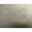 973624 Rasch zámocká vliesová umývateľná tapeta na stenu Tendencie (2024), veľkosť 10,00 m x 1,06 m