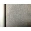 973662 Rasch zámocká vliesová umývateľná tapeta na stenu Tendencie (2024), veľkosť 10,00 m x 1,06 m