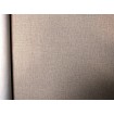 975574 Rasch zámocká vliesová umývateľná tapeta na stenu Tendencie (2024), veľkosť 10,00 m x 1,06 m