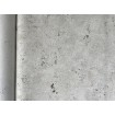 A48601 Vliesová umývateľná tapeta na stenu s vinylovým povrchom z kolekcie Vavex Wallpaper 2024, veľkosť 53 cm x 10,05 m