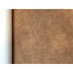 A51520 Vliesová umývateľná tapeta na stenu s vinylovým povrchom z kolekcie Vavex Premium Selection 2024, veľkosť 53 cm x 10,05 m