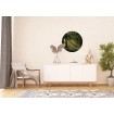 CR 3210 AG Design fototapety ekologická vliesová samolepiaca 1-dielna okrúhla Kúzelný les, veľkosť 70x70 cm