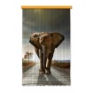 FCP L 6507 AG Design textilný foto záves obrazový Elephant - Slon FCPL 6507, veľkosť 140 x 245 cm