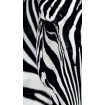 FCP L 6519 AG Design textilný foto záves obrazový Zebra FCPL 6519, veľkosť 140 x 245 cm