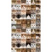 FCP L 6567 AG Design textilný foto záves obrazový Cats - Mačky FCPL 6567, veľkosť 140 x 245 cm