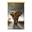 FCS L 7507 AG Design textilný foto záves obrazový Elephant - Slon FCSL 7507, veľkosť 140 x 245 cm
