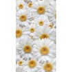 FCS L 7524 AG Design textilný foto záves obrazový Flowers - kvety FCSL 7524, veľkosť 140 x 245 cm