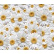 FCS XL 4810 AG Design textilný foto záves delený obrazový Flowers - Kvety FCSXL 4810, veľkosť 180 x 160 cm