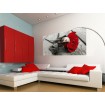 FTN H 2717 AG Design vliesová fototapeta na stenu panoramatická Red rose, veľkosť 202 x 90 cm