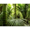 Obrazová vliesová fototapeta na stenu štvordielna FTNxxl0465 Bambusový les, veľkosť 360 x 270 cm