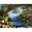Obrazová vliesová fototapeta na stenu štvordielna FTNxxl1113 Horské jazero a borovice, veľkosť 360 x 270 cm