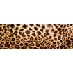 KI-180-069 Fototapeta do kuchyne - Leopard Skin (Leopardej kože)