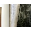 KT1-44083 A.S. Création vliesová tapeta na stenu Trendwall 2 (2024), veľkosť 10,05 m x 53 cm